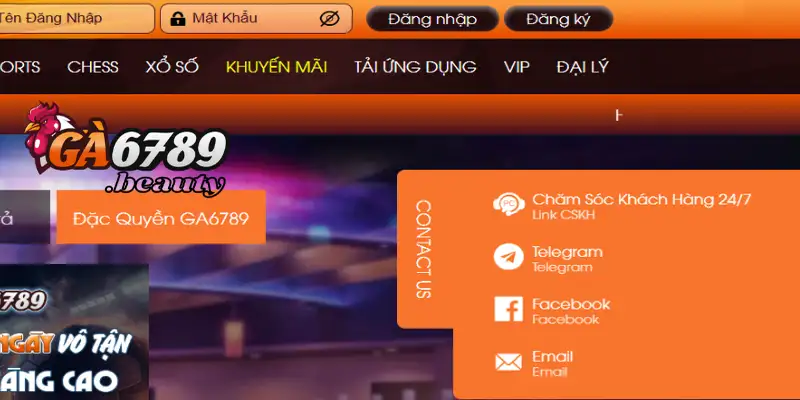 Dịch vụ hỗ trợ khách hàng chuyên nghiệp